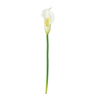 Fleur en plastique Calla PERKAN, blanc, 35cm Fleur en plastique Calla PERKAN, blanc, 35cm
