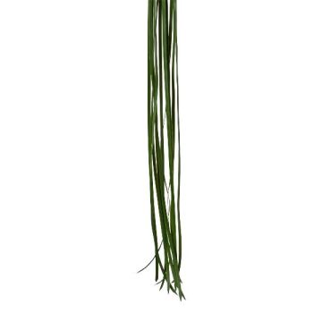 Herbe marine artificielle ZALME, 12 brins, verte, 120 cm Herbe marine artificielle ZALME, 12 brins, verte, 120 cm