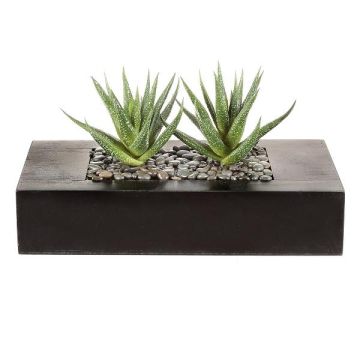 Plante succulente artificielle Aloe variegata FRONZ dans un bac en bois, vert-blanc, 24x11x14cm Plante succulente artificielle Aloe variegata FRONZ dans un bac en bois, vert-blanc, 24x11x14cm