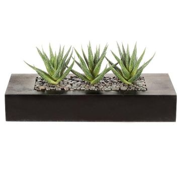 Plante succulente artificielle Aloe variegata FRONZ dans un bac en bois, vert-blanc, 36x15,5x16cm Plante succulente artificielle Aloe variegata FRONZ dans un bac en bois, vert-blanc, 36x15,5x16cm