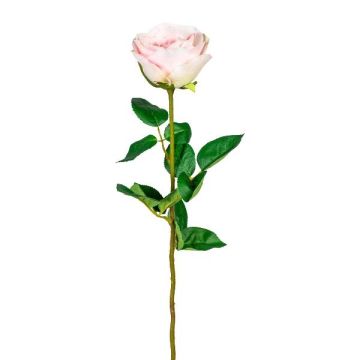 Fleur décorative Rose NORLAN, rose, 70cm