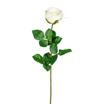 Fleur décorative Rose NORLAN, crème, 70cm, Ø8cm Fleur décorative Rose NORLAN, crème, 70cm, Ø8cm