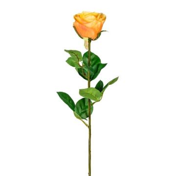 Fleur décorative Rose NORLAN, abricot, 70cm, Ø8cm