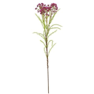 artificiel branche Fleur de cire MEDEA, fuchsia, 80cm, Ø6cm artificiel branche Fleur de cire MEDEA, fuchsia, 80cm, Ø6cm