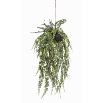 Plante artificielle Fougère royale MANASLU, motte de terre, racines, vert, 70cm Plante artificielle Fougère royale MANASLU, motte de terre, racines, vert, 70cm