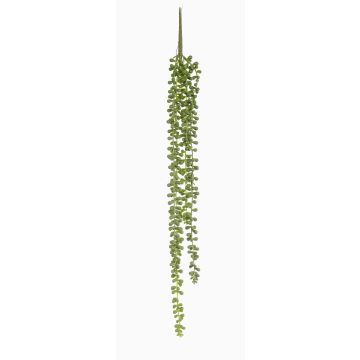 Succulente décorative Suspension de séneçon PURUS, piquet, vert, 60cm