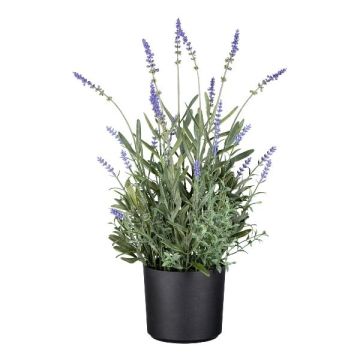 Fleur décorative Lavande JARFA, lilas, 50cm Fleur décorative Lavande JARFA, lilas, 50cm