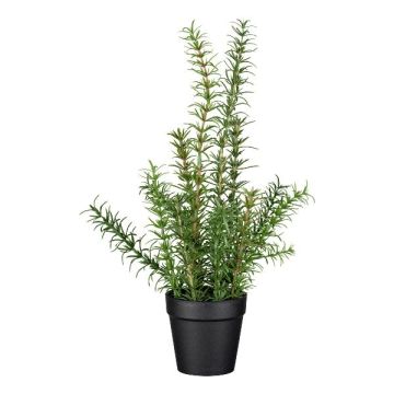 Herbe artificielle romarin VENTALI dans un pot décoratif, vert, 40 cm Herbe artificielle romarin VENTALI dans un pot décoratif, vert, 40 cm