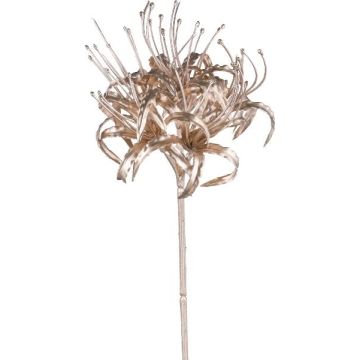 Fleur décorative Crinole de Powell YENDA, champagne, 95cm