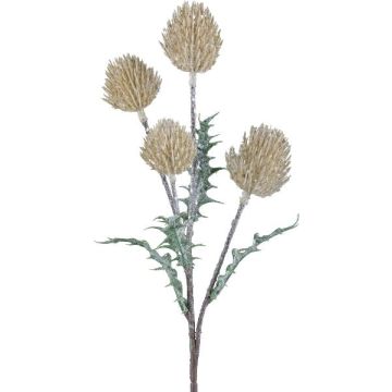 Branche décorative Eryngium KRILMO, vanille, 40cm Branche décorative Eryngium KRILMO, vanille, 40cm