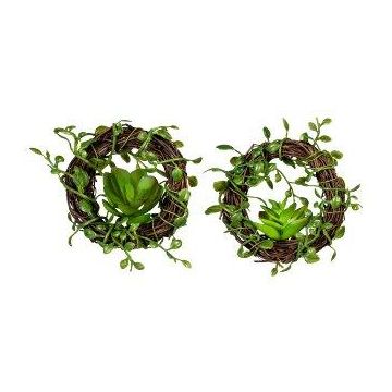 Couronne artificielle de Muehlenbeckia MEVRO, 2 pièces, plante succulente, vert, Ø8cm Couronne artificielle de Muehlenbeckia MEVRO, 2 pièces, plante succulente, vert, Ø8cm