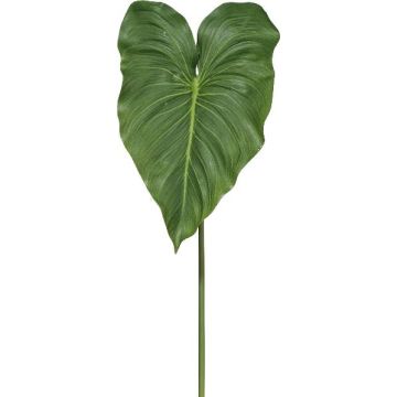 Feuille artificielle Calla LORTE, vert, 75cm Feuille artificielle Calla LORTE, vert, 75cm