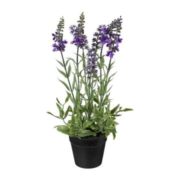 Fleur décorative Lavande KENSY en pot décoratif, violet, 30cm Fleur décorative Lavande KENSY en pot décoratif, violet, 30cm