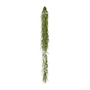 Plante succulente artificielle Hoya linearis NERTIN, motte de terre, verte, 120 cm Plante succulente artificielle Hoya linearis NERTIN, motte de terre, verte, 120 cm