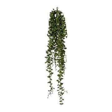 Plante succulente artificielle Senecio FLINKO, retombante, vert, 90cm