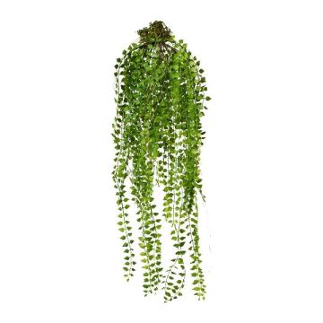 Plante suspendue artificielle Columnea GRAHIN, motte de terre, verte, 70 cm