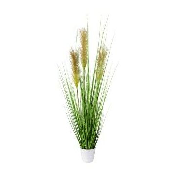 Herbe de la pampa artificielle FONZA en pot décoratif, panicules, brun-jaune, 80cm Herbe de la pampa artificielle FONZA en pot décoratif, panicules, brun-jaune, 80cm