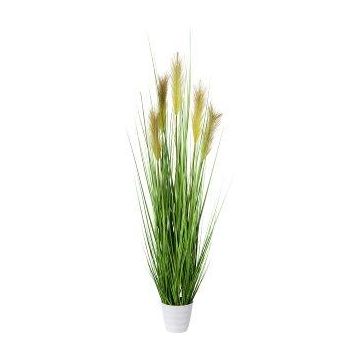 Herbe de la pampa artificielle FONZA en pot décoratif, panicules, brun-jaune, 110cm Herbe de la pampa artificielle FONZA en pot décoratif, panicules, brun-jaune, 110cm