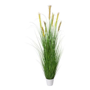 Herbe de la pampa artificielle FONZA en pot décoratif, panicules, brun-jaune, 180cm Herbe de la pampa artificielle FONZA en pot décoratif, panicules, brun-jaune, 180cm