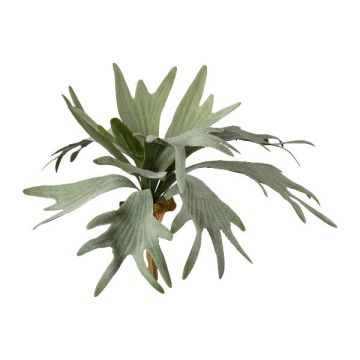 Plante artificielle : fougère à cornes SLUHAR, tige, verte, 35 cm