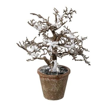 Arbre artificiel hêtre BONKA, sans feuillage, recouvert de neige, pot décoratif, blanc-marron, 24 cm