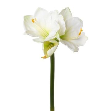 Fleur décorative Amaryllis BELAV, blanc-vert, 70cm, Ø5-13cm Fleur décorative Amaryllis BELAV, blanc-vert, 70cm, Ø5-13cm