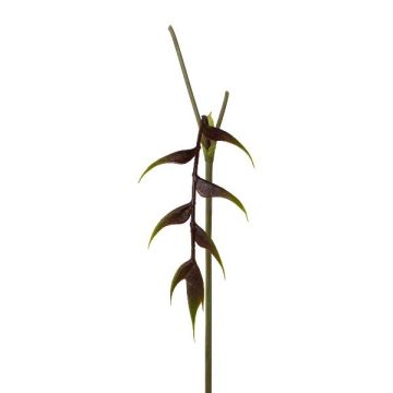 Fleur artificielle héliconie MENJU, rouge bordeaux, 55 cm Fleur artificielle héliconie MENJU, rouge bordeaux, 55 cm