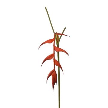 Fleur artificielle héliconie MENJU, orange, 55 cm Fleur artificielle héliconie MENJU, orange, 55 cm