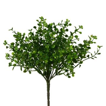 Plante décorative Muehlenbeckia ZORHAN, tige, verte, 28 cm Plante décorative Muehlenbeckia ZORHAN, tige, verte, 28 cm