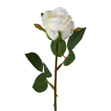 Fleur artificielle Rose EMBERY, blanc, 45cm, Ø6cm Fleur artificielle Rose EMBERY, blanc, 45cm, Ø6cm