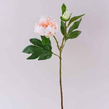 Pivoine artificielle FYRFAR, ouverte, rose clair, 60 cm