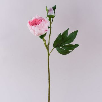 Pivoine artificielle FYRFAR, semi-ouverte, rose, 60 cm