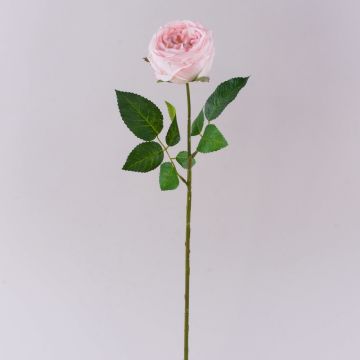 Rose chou artificielle MARNUK, rose clair, 60 cm, Ø 9 cm Rose chou artificielle MARNUK, rose clair, 60 cm, Ø 9 cm