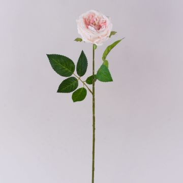 Rose pommée artificielle MARNUK, crème-rose, 60 cm, Ø 9 cm Rose pommée artificielle MARNUK, crème-rose, 60 cm, Ø 9 cm