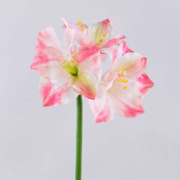 Amaryllis artificielle SARNUK, blanc-rose, 80 cm