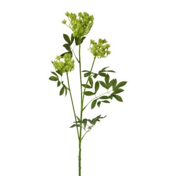 Branche artificielle de carotte sauvage TOLHER, verte, 85 cm Branche artificielle de carotte sauvage TOLHER, verte, 85 cm