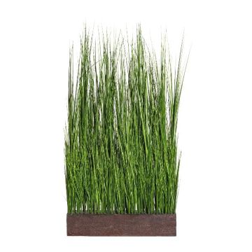 Séparation de pièce en vulpin décoratif WINNIE dans un bac en plastique, vert, 70x20x125cm Séparation de pièce en vulpin décoratif WINNIE dans un bac en plastique, vert, 70x20x125cm