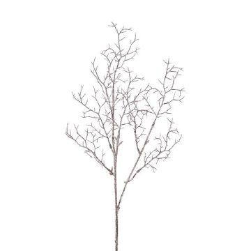 Branche décorative Corail ZORVEK, givré, blanc-brun, 70cm