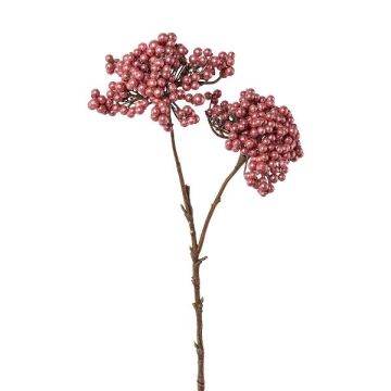 Branche décorative de sureau ZORNKE, baies, rose foncé, 50cm Branche décorative de sureau ZORNKE, baies, rose foncé, 50cm