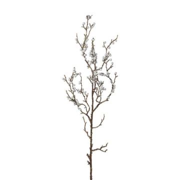Branche décorative de gaultheria KLIMOR, baies, argenté, 60cm Branche décorative de gaultheria KLIMOR, baies, argenté, 60cm