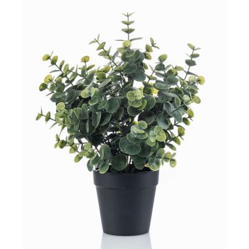 Eucalyptus artificiel GLIWEN dans un pot décoratif, vert-gris, 30 cm