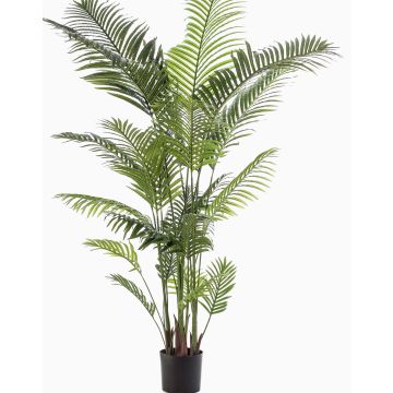 Palmier Areca artificiel TAWAN, 200cm