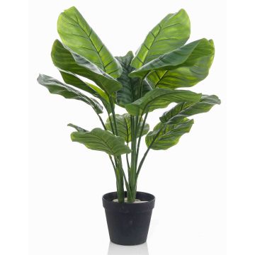 Calathea orbifolia artificiel CAPHOR, vert-gris, 70cm