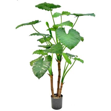 Plante artificielle Alocasia calidora NOKJAN, verte, 120 cm Plante artificielle Alocasia calidora NOKJAN, verte, 120 cm