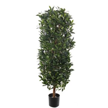 Colonne de laurier artificielle UNUK, tronc naturel, 205 cm