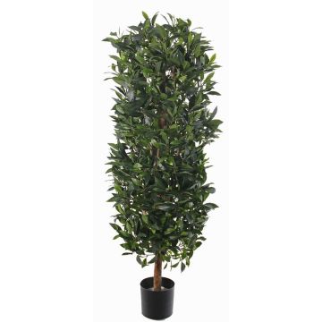 Colonne de laurier artificielle UNUK, tronc naturel, 205cm Colonne de laurier artificielle UNUK, tronc naturel, 205cm