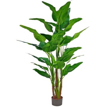 Palmier en plastique « Arbre du voyageur » GORYU, 250 cm Palmier en plastique « Arbre du voyageur » GORYU, 250 cm