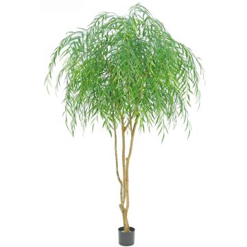Arbre artificiel « saule pleureur » BALSIMA, troncs naturels, 260 cm Arbre artificiel « saule pleureur » BALSIMA, troncs naturels, 260 cm