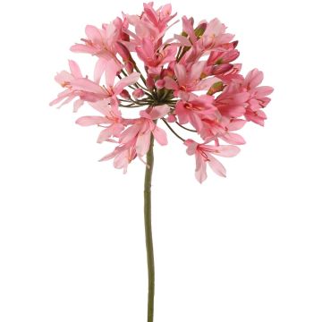 Fleur d'agapanthe artificielle KAFENA, rose clair, 90 cm, Ø 20 cm Fleur d'agapanthe artificielle KAFENA, rose clair, 90 cm, Ø 20 cm