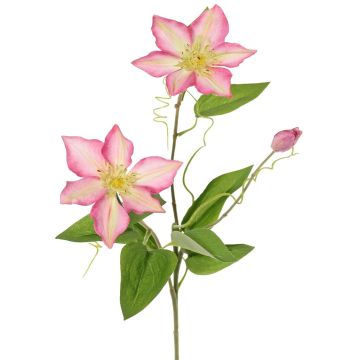 Branche de clématite artificielle DORAN, rose-vert, 75 cm, Ø 11-13 cm